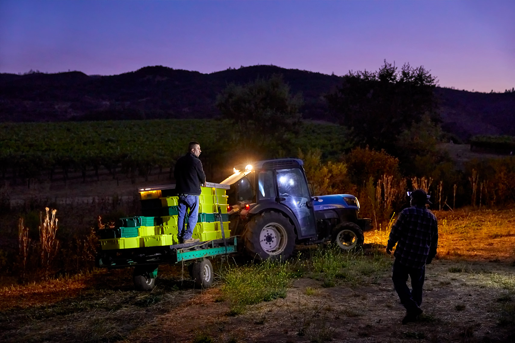 hamel_2019harvest_0154_HDR1