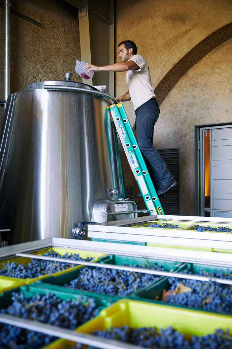hamel_2019harvest_0650