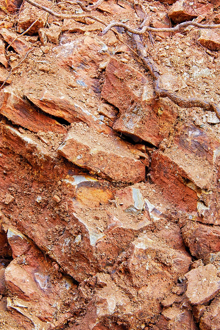 hamel_soil_0086_1