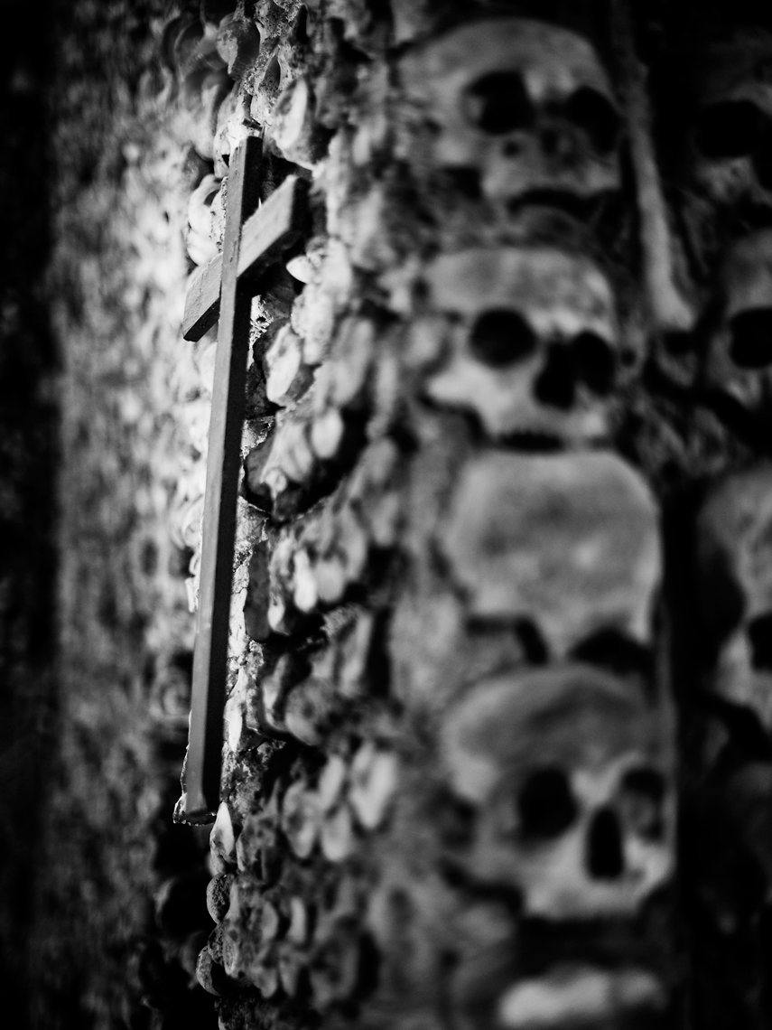 skulls_crp900x1200